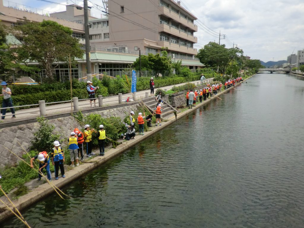 画像：中央小学校の子ども達と水草刈り