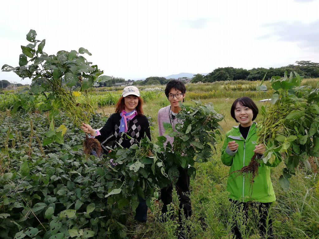 画像:【部員大募集!】オゴノリング大作戦の部員を募集しています
