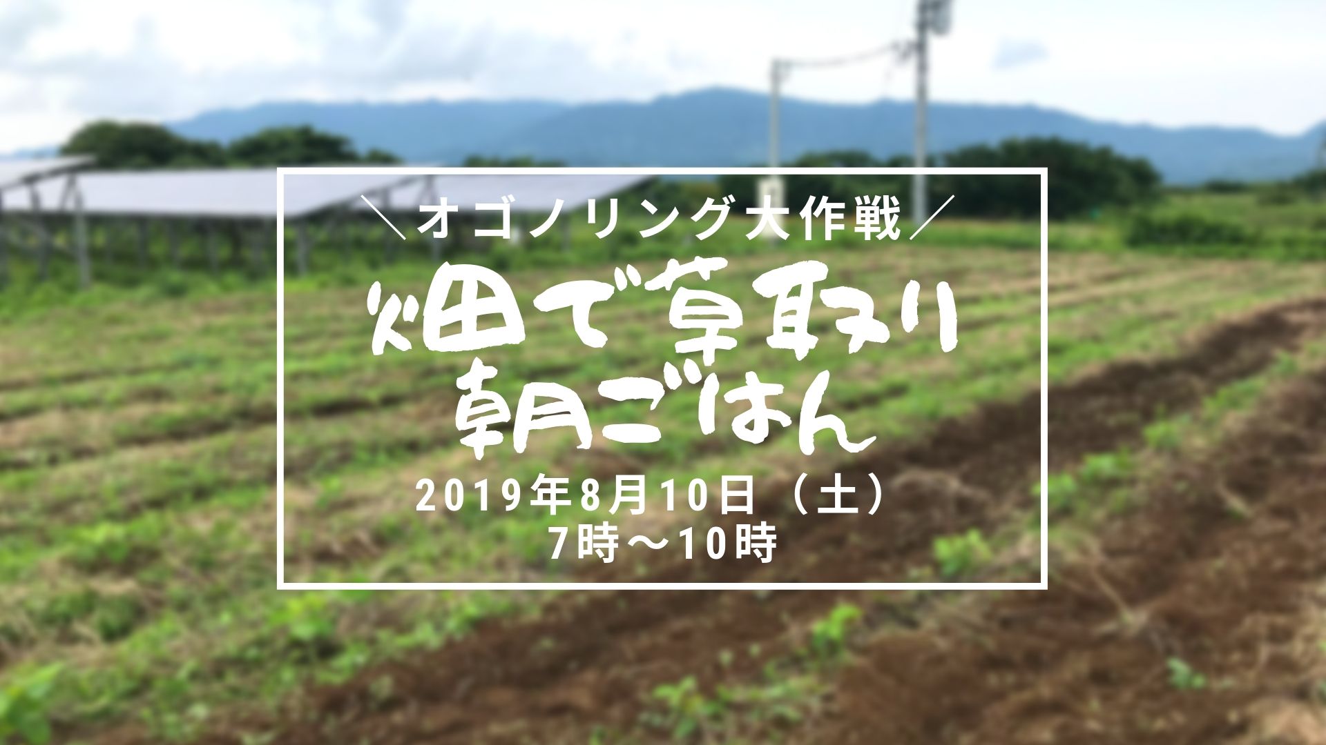 終了しました オゴノリング大作戦 大豆 畑で草取り朝ごはん 認定npo法人自然再生センター 終了しました オゴノリング大作戦 大豆 畑で草取り朝ごはん 認定npo法人自然再生センター