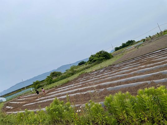 画像：【参加者募集】　6月の活動